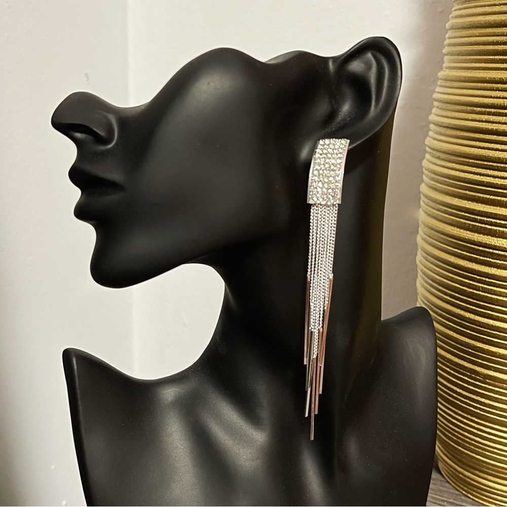 ✨Elegant Silver Tassel Earrings (Hypoallergenic S925 Posts)
